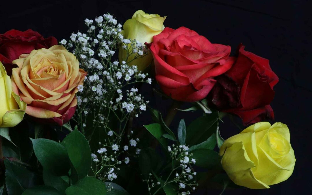 Rights and Roses