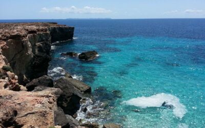 The Ocean Forgets Nothing